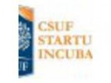 Insurance and Risk Management Questions Answered  CSUF Startup I