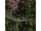 Bank Owned Single Family Home for sale in Cleveland TN