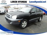 2005 Hyundai Santa Fe GLS