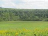 Greene Scenic rural 5 acre building lot with room for pets