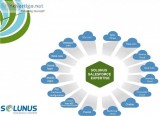 Solunus salesforce expertise and impleme