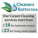 Professional cleaners battersea