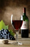 #1 wine club: enjoy fine wines & make $