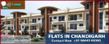 Flats in chandigarh