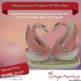 Buy Feng Shui Love Birds Pair for Valentine Day Special