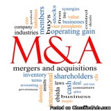 Mergers and Acquisitions Course