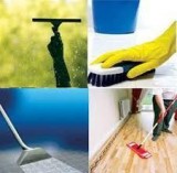 Professional House Cleaning Services