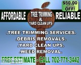 Tree Trimming ServiceCHEAP ESTIMATES