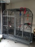 Large Double Macaw Cage