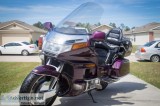 1995 Honda Gold Wing - 4200 (Spring)