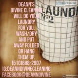 DeAnn s Divine Cleaning