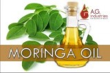 Moringa Seed Oil Suppliers