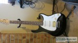 Peavey Raptor Plus Guitar