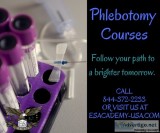 Join us and become a Phlebotomist in only 4 weeks