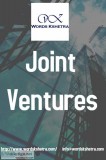 Joint venture services