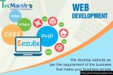 Dynamic Website Price in India  91 9718308502