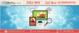 Bulk SMSBulk SMS DelhiBulk SMS Provider DelhiBulk SMS Company De