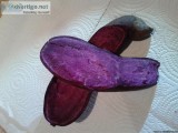 MOLOKAI PURPLE POTATOES