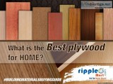 plywood prices