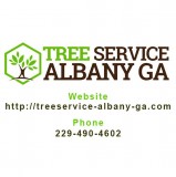Tree Service Albany GA