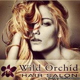 Best Hair Salon in Boca Raton FL  Wild Orchid Hair