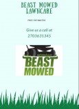 Beast Mowed Lawncare