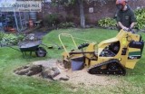 Stump grinding service