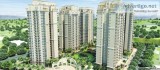 Live a peaceful life 9250002243 in Ace Golfshire Noida