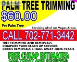 TREE TRIMMING AND REMOVAL SERVICES