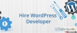 Hire Wordpress Developer