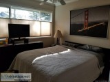 Room for rent  in 2 bedroom 2 bath condo