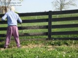 fence and barm painting