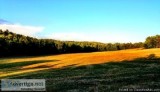 WOLF CREEK RANCH