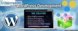 Affordable Wordpress Web Development In Delhi NCR