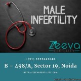 Male Infertility Treatment Noida