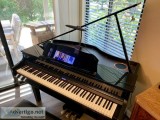 Mint Condition 2018 Roland GP607