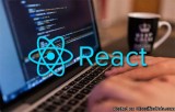 Hire Reactjs Developers