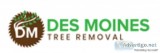 Des Moines Tree Removal