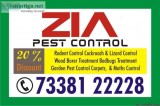 Zia Pest Control Service Termite  Cockroach Bed Bugs Treatment  