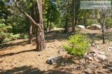 Beautiful Lake Arrowhead Lot for sale