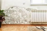 Water damage restoration (ALL AREAS)