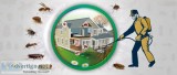 Best Pest Control Service in Faridabad