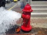 Buy Fire Hydrant System