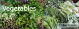 Vegetables Exporters