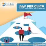 Premier PPC company India