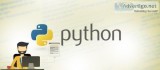 Hire Dedicated Python Developers expert programmers