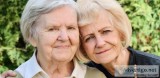 Looking for Senior Care Plans in Aurora IL