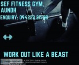 Best Gym in Aundh - Gym in Pune  Sef Fitness Gym Aundh Pune