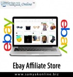 eBay Affiliate Store Designer and Developer