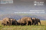 Wildlife tours in India